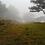 a_pradera